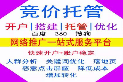 SEM推广实战：成功案例解读与策略调整